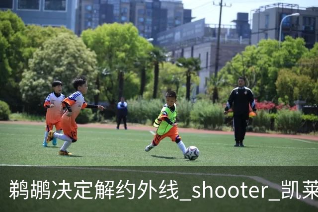 鹈鹕决定解约外线 shooter 凯莱布·休斯坦